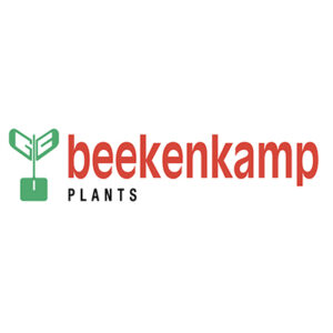 Beekenkamp Plants