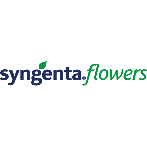 Syngenta Flowers