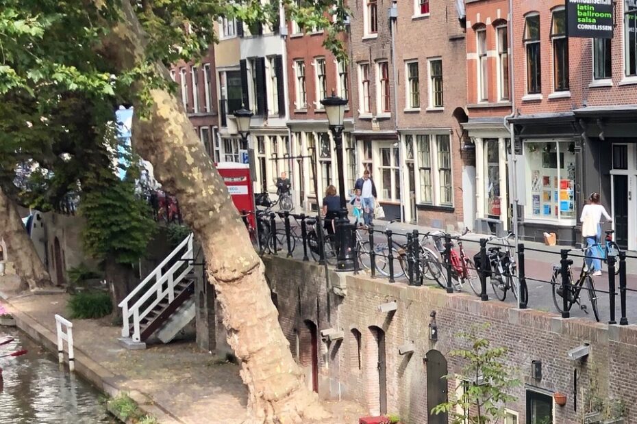 Oude Gracht - Horticave