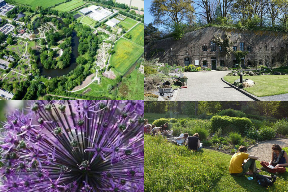 Botanische Tuin Utrecht voorexcursie